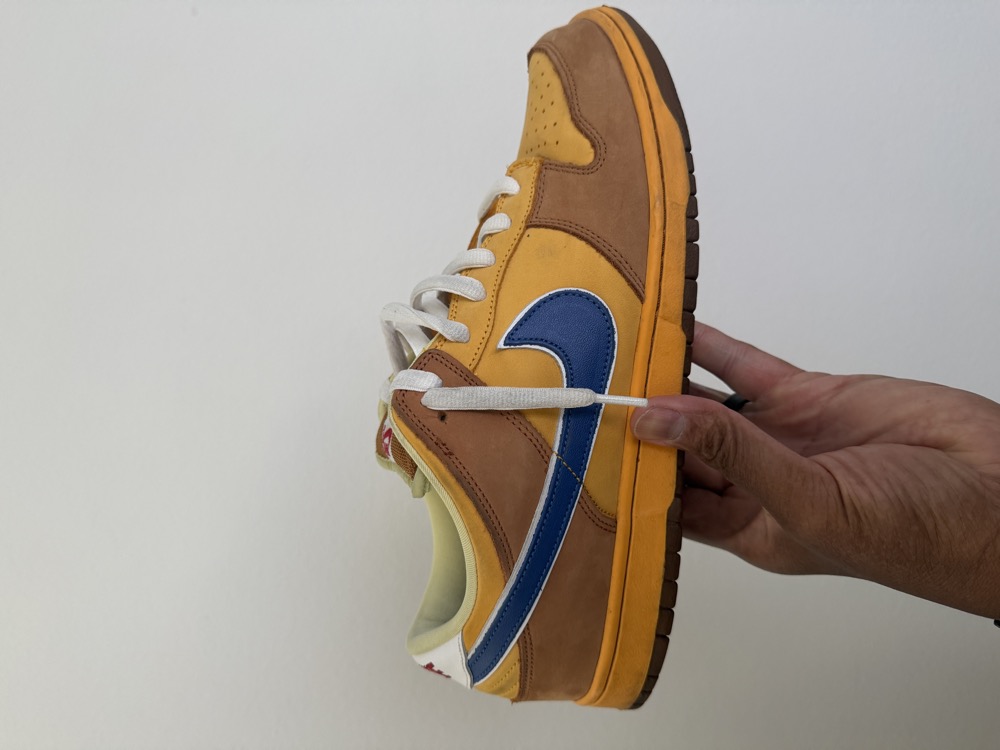 A Nike SB Dunk photographed side on against a plain wall
